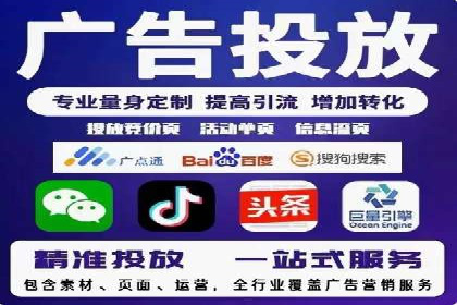 大型企业SEM外包实战案例